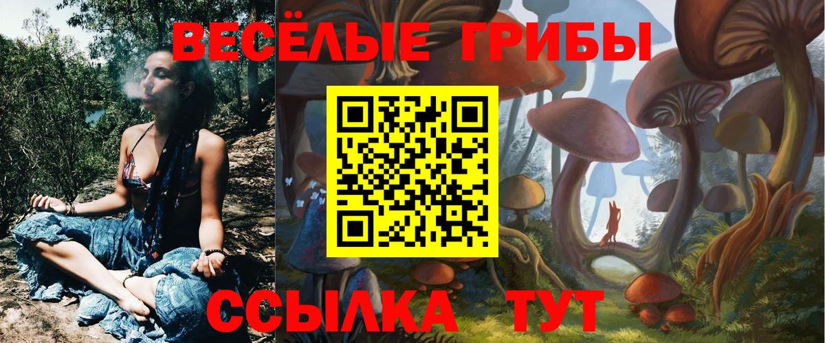 Галлюциногенные грибы ЛСД Северобайкальск