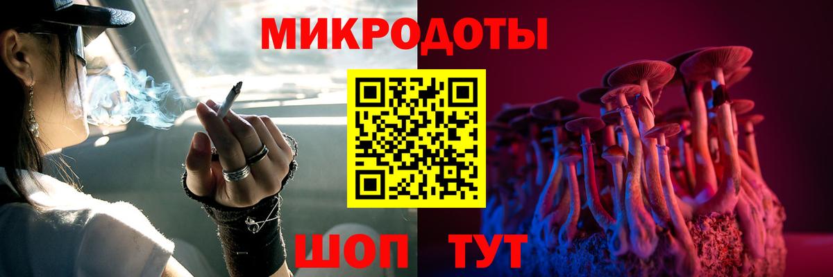 Галлюциногенные грибы GOLDEN TEACHER  Вход с VPN  Северобайкальск 